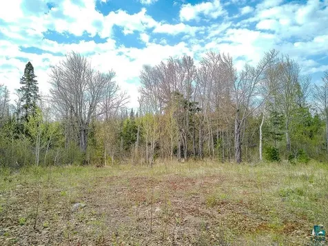 21 Pine Tree Drive Lutsen MN 55612