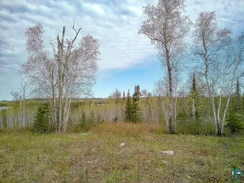 21 Pine Tree Drive Lutsen MN 55612
