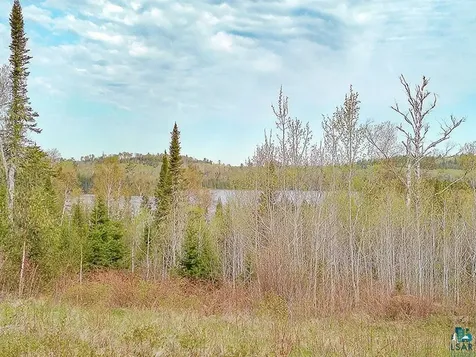 21 Pine Tree Drive Lutsen MN 55612