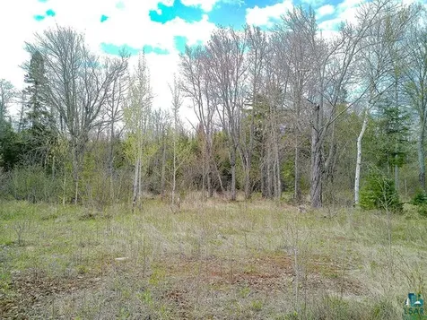 21 Pine Tree Drive Lutsen MN 55612