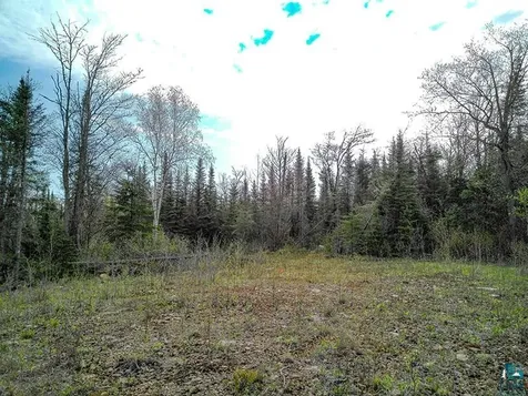 21 Pine Tree Drive Lutsen MN 55612