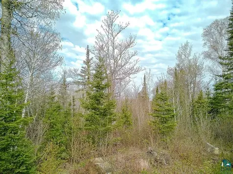 21 Pine Tree Drive Lutsen MN 55612