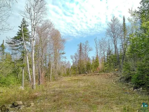 21 Pine Tree Drive Lutsen MN 55612