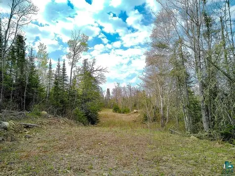 21 Pine Tree Drive Lutsen MN 55612