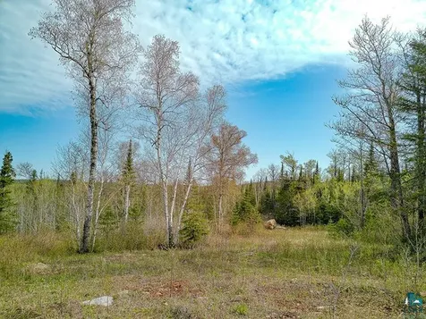 21 Pine Tree Drive Lutsen MN 55612