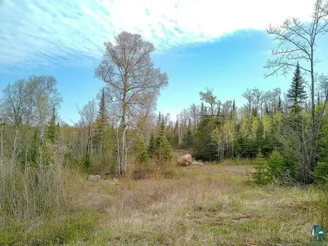 21 Pine Tree Drive Lutsen MN 55612