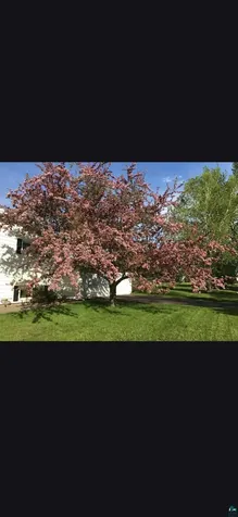 1424 E 6th Street Superior MN 54880