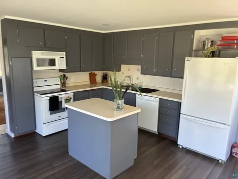 334 W Redwing Street Duluth MN 55803