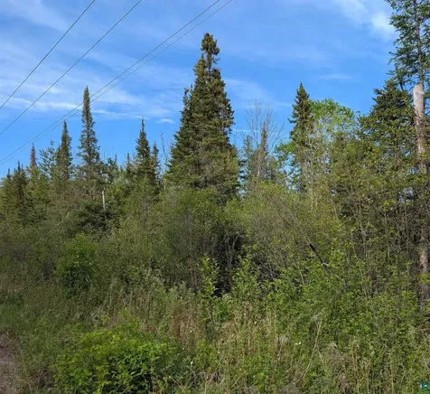 Xxxx Rice Lake Road Duluth MN 55803