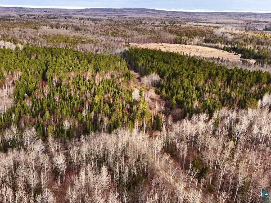 64XX Bergquist Road Duluth MN 55804