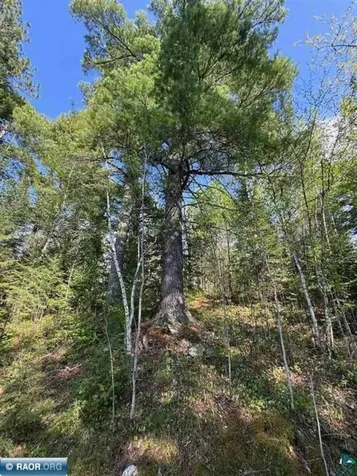 6309 Winston Road Tower MN 55790