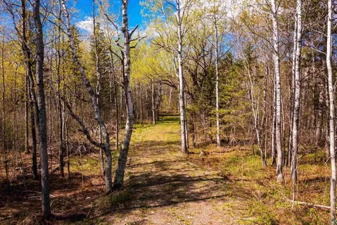 49XX Morris Thomas Road Hermantown MN 55811