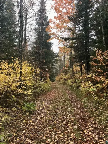 5274 Marble Lake Road Two Harbors MN 55616