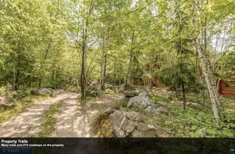 7481 S Stone Ridge Road Cook MN 55723