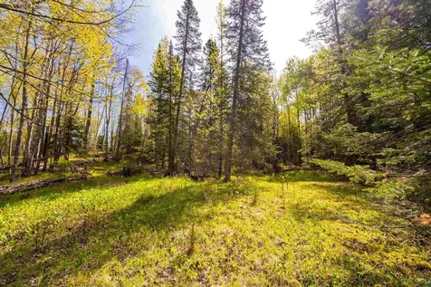 5610 Bergstrom Jct Road Saginaw MN 55779