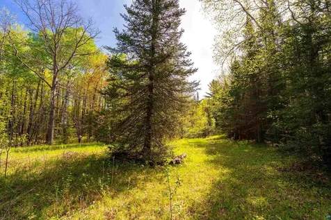 5610 Bergstrom Jct Road Saginaw MN 55779