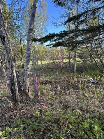 Xxx Tall Timber Trail Lutsen MN 55612