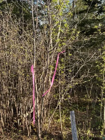 Xxx Tall Timber Trail Lutsen MN 55612