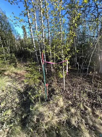 Xxx Tall Timber Trail Lutsen MN 55612