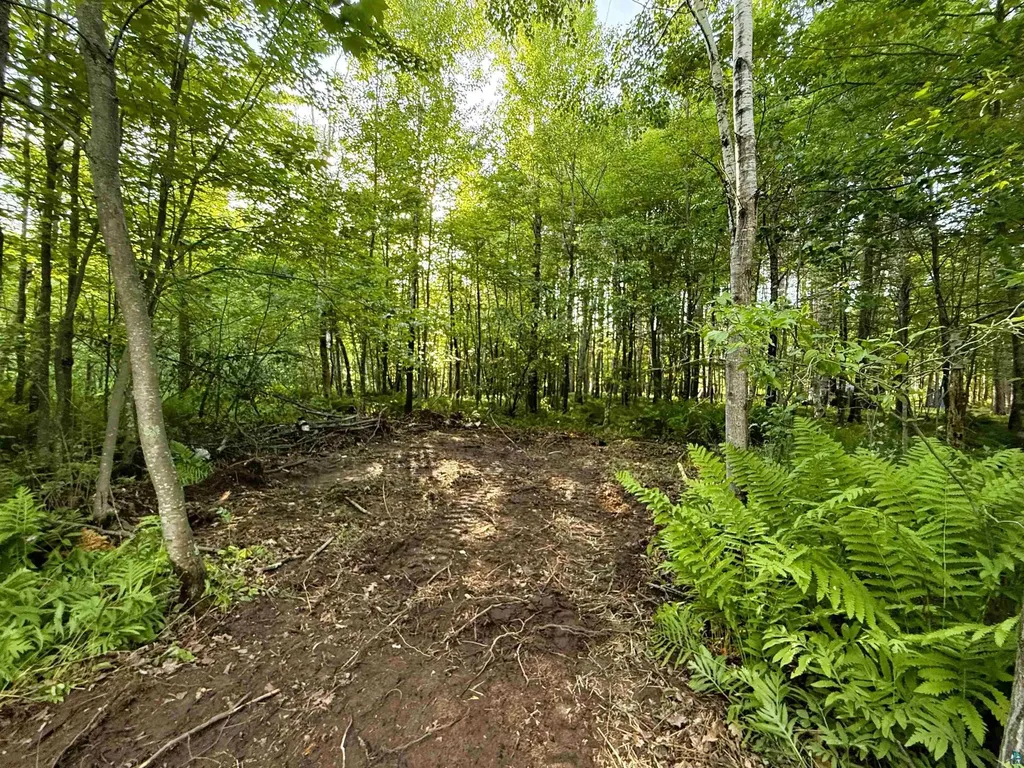 Tbd Frontier Lane Sturgeon Lake MN 55783-9999
