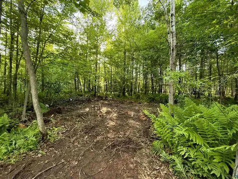 Tbd Frontier Lane Sturgeon Lake MN 55783-9999