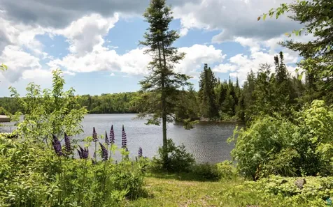 1339 Tom Lake Road Hovland MN 55606