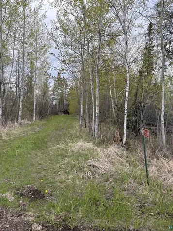 6919 Triple Lakes Road Saginaw MN 55779