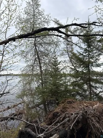 6919 Triple Lakes Road Saginaw MN 55779