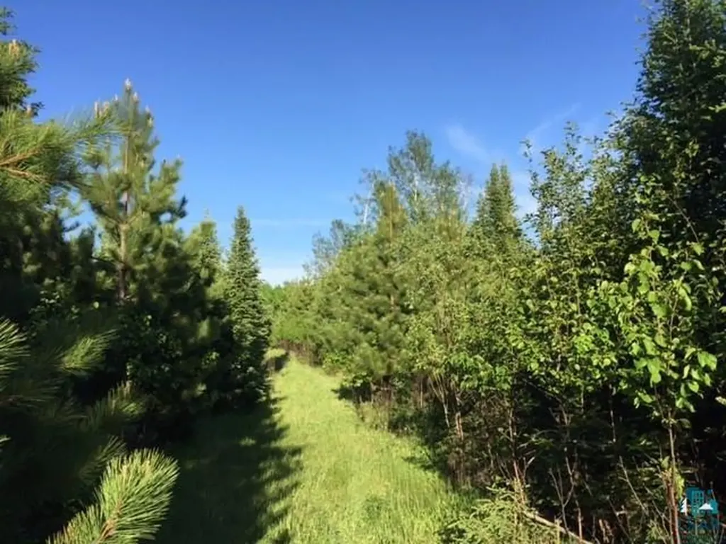 1142 Camp 20 Road Hovland MN 55606