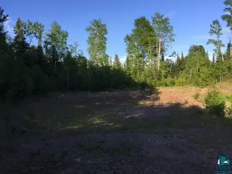 1142 Camp 20 Road Hovland MN 55606