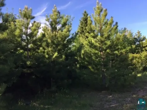 1142 Camp 20 Road Hovland MN 55606