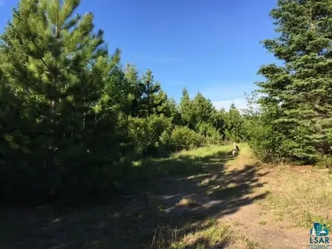 1142 Camp 20 Road Hovland MN 55606