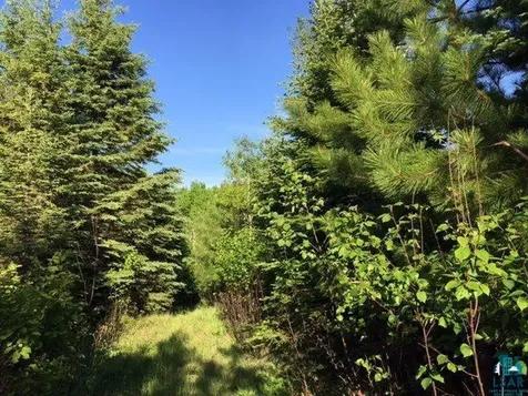 1142 Camp 20 Road Hovland MN 55606