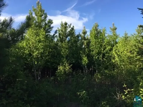1142 Camp 20 Road Hovland MN 55606
