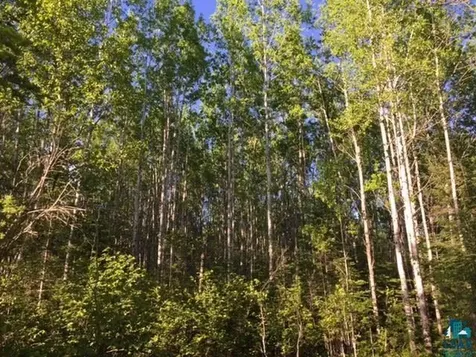 1142 Camp 20 Road Hovland MN 55606