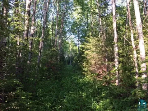 1142 Camp 20 Road Hovland MN 55606