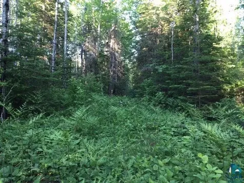 1142 Camp 20 Road Hovland MN 55606