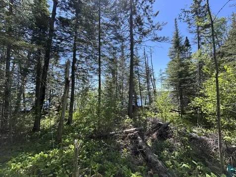 12 Wesley Lane Grand Marais MN 55604