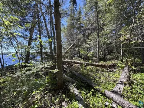 12 Wesley Lane Grand Marais MN 55604