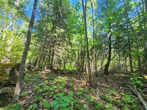 15X Ski Hill Road Lutsen MN 55612