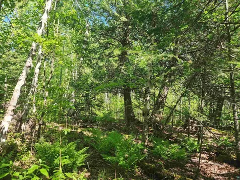 15X Ski Hill Road Lutsen MN 55612