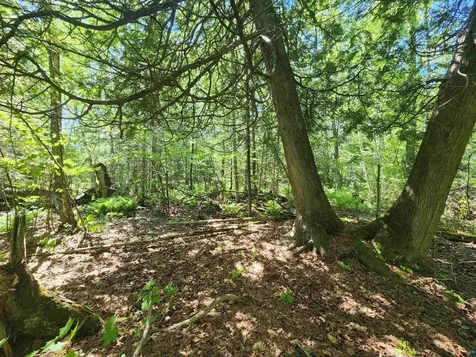15X Ski Hill Road Lutsen MN 55612