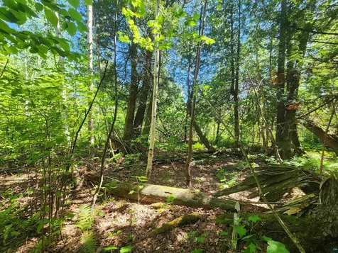 15X Ski Hill Road Lutsen MN 55612
