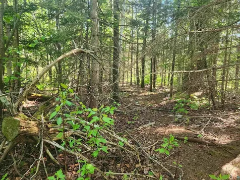 15X Ski Hill Road Lutsen MN 55612