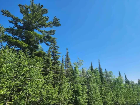 15X Ski Hill Road Lutsen MN 55612