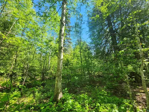 15X Ski Hill Road Lutsen MN 55612
