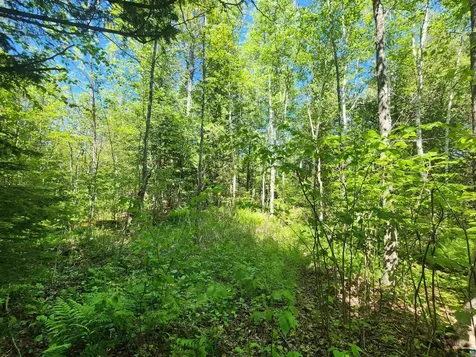 15X Ski Hill Road Lutsen MN 55612