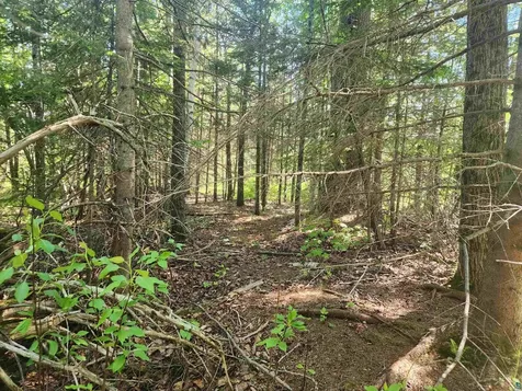 15X Ski Hill Road Lutsen MN 55612