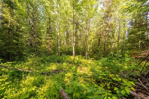 58XX Mcquade Road Duluth MN 55803
