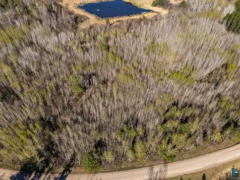 Tbd Crane Lake Road Orr MN 55771